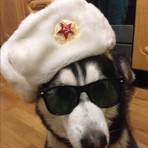 Meet your Posher, Dakota_b